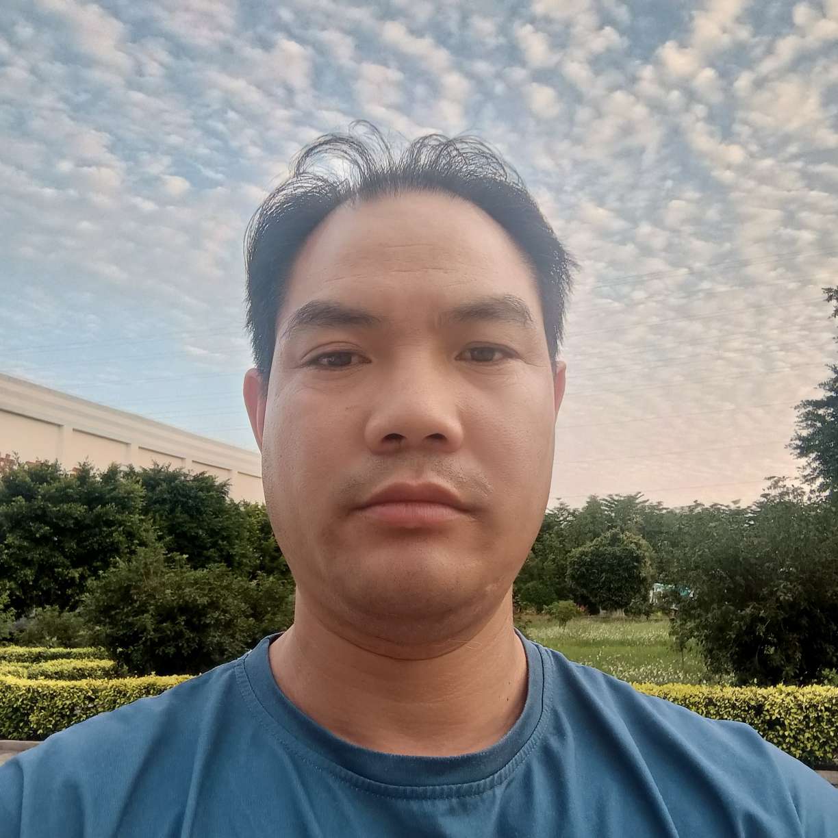 流岚向透彻的照片