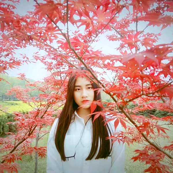 啦嗦咪瑞哆的照片