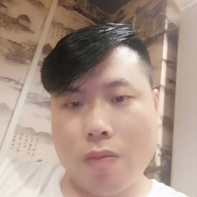 孝顺放弃大象的照片