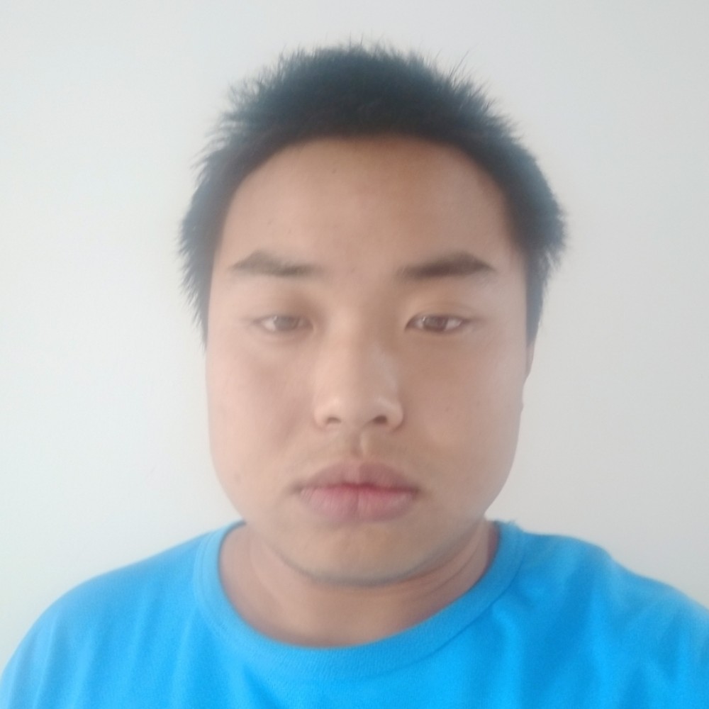 暧昧狗的照片