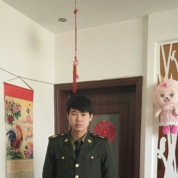 感动小海豚的照片