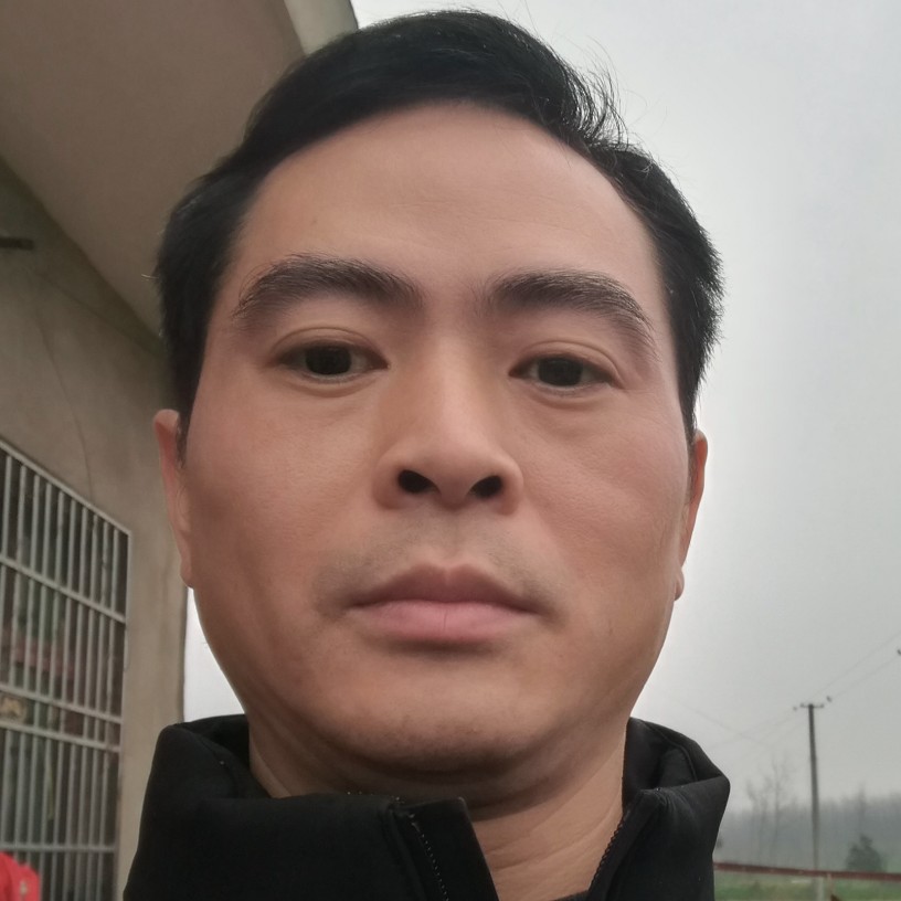 温情的猪猪的照片
