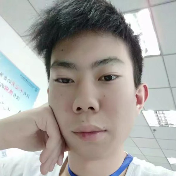 跳跃的板栗的照片
