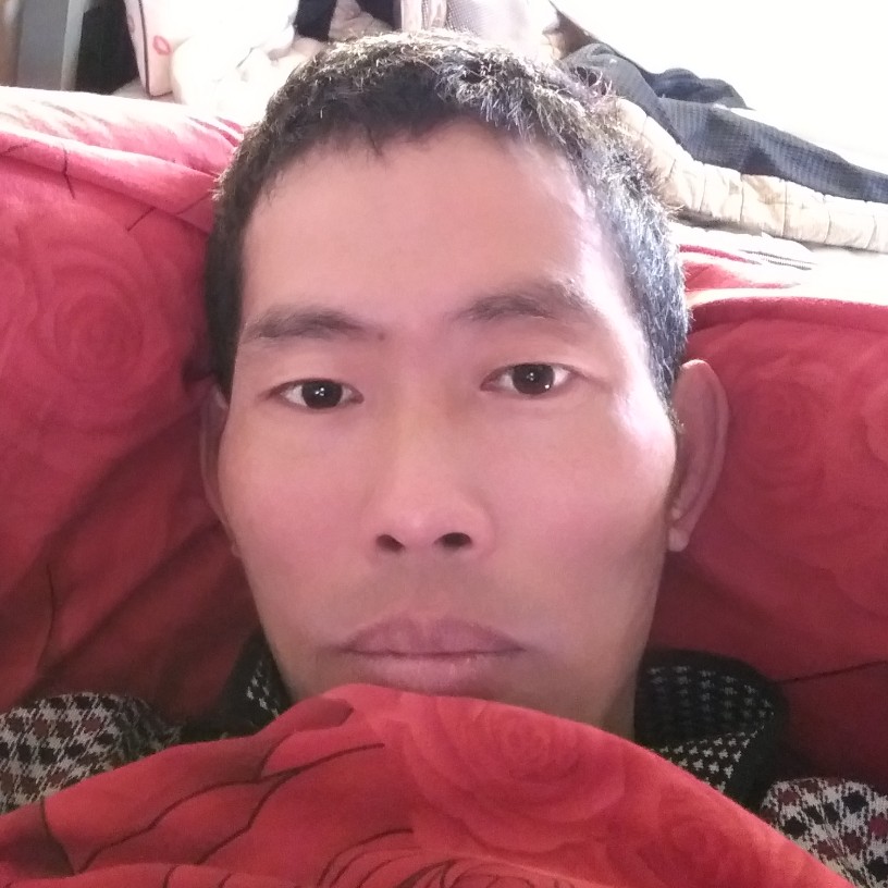 简单乌龟的照片