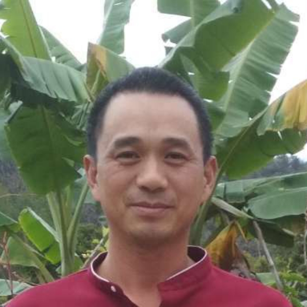 梦影漫步单纯的照片