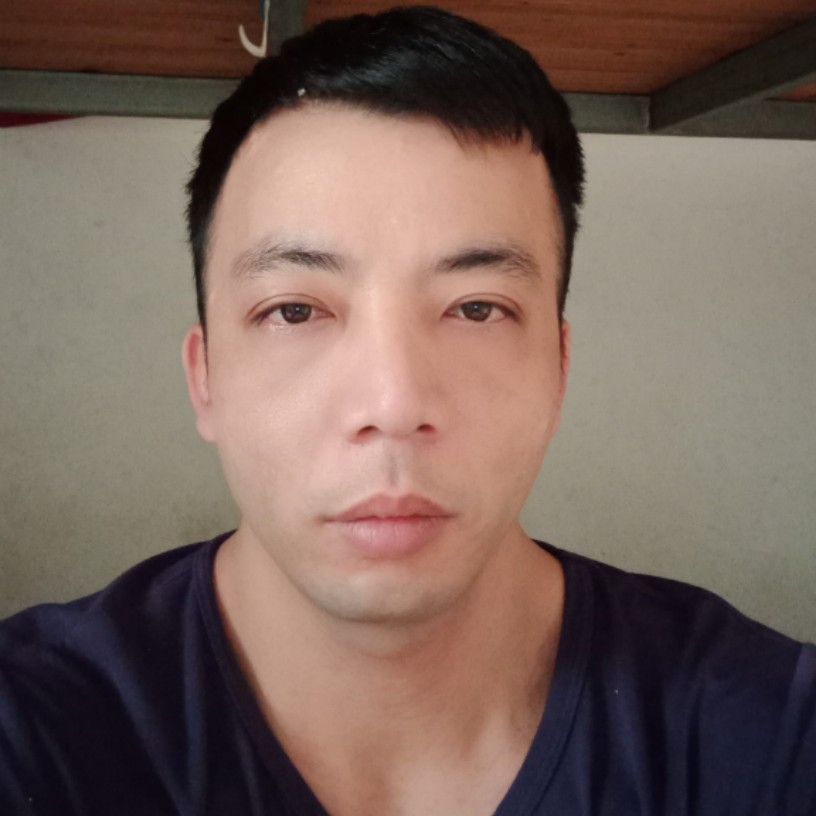 丰富有小蝴蝶的照片