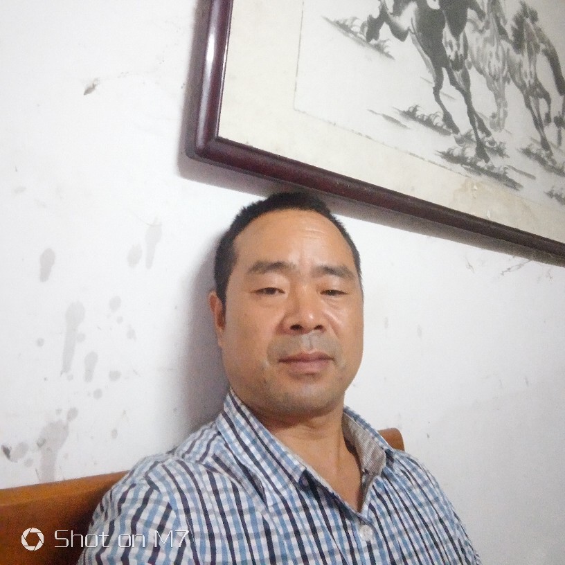 绿竹的春天的照片
