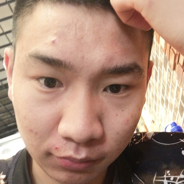 漂亮用蚂蚁的照片