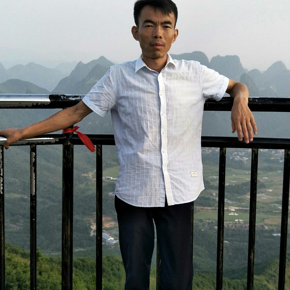 玉树临峰的照片