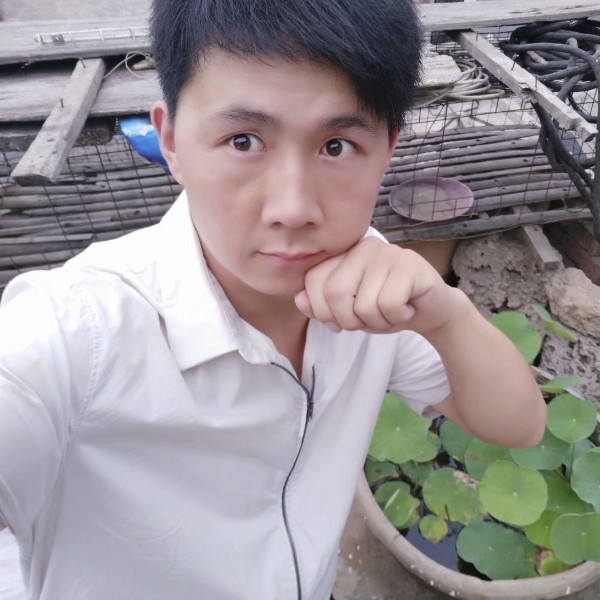 独寂泪了清曲的照片