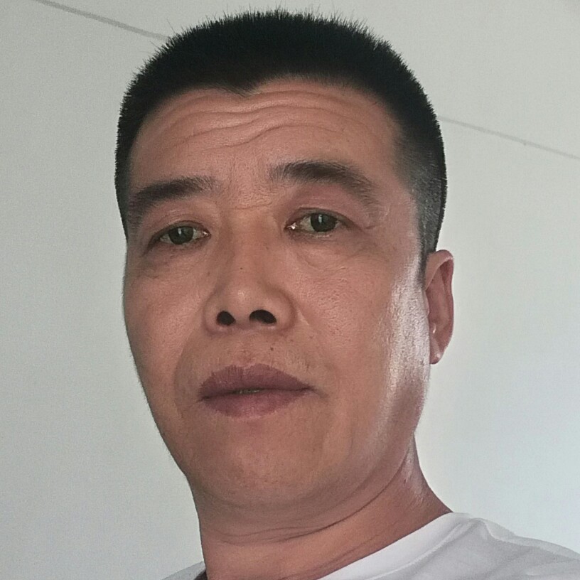 搞怪树叶的照片