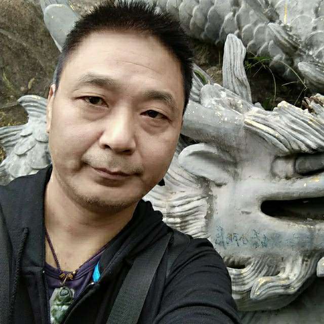 想飞的青蛙的照片