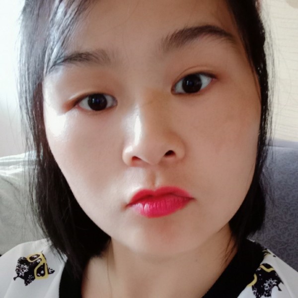 渔港猫归的照片