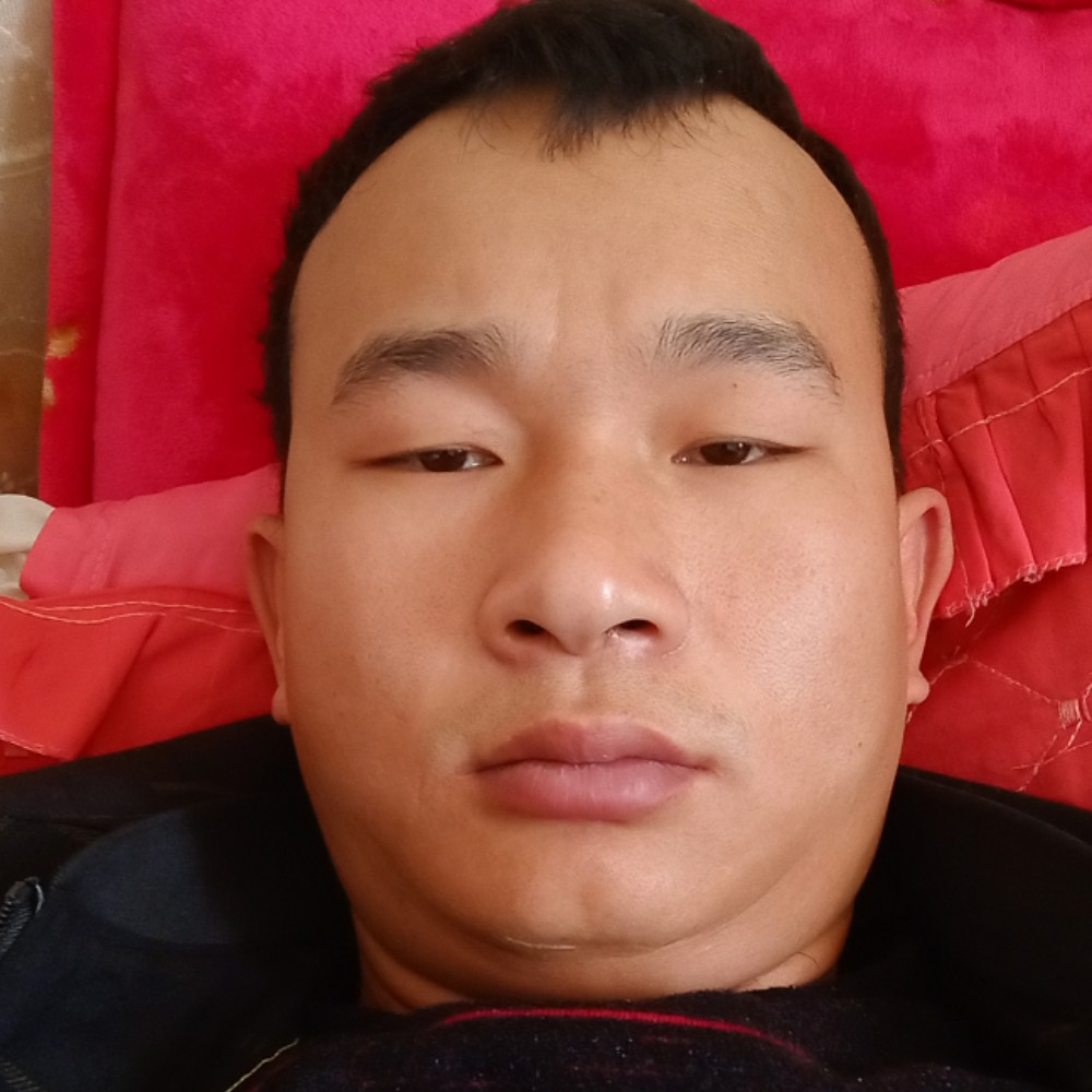 蛋挞爱恋美满的照片