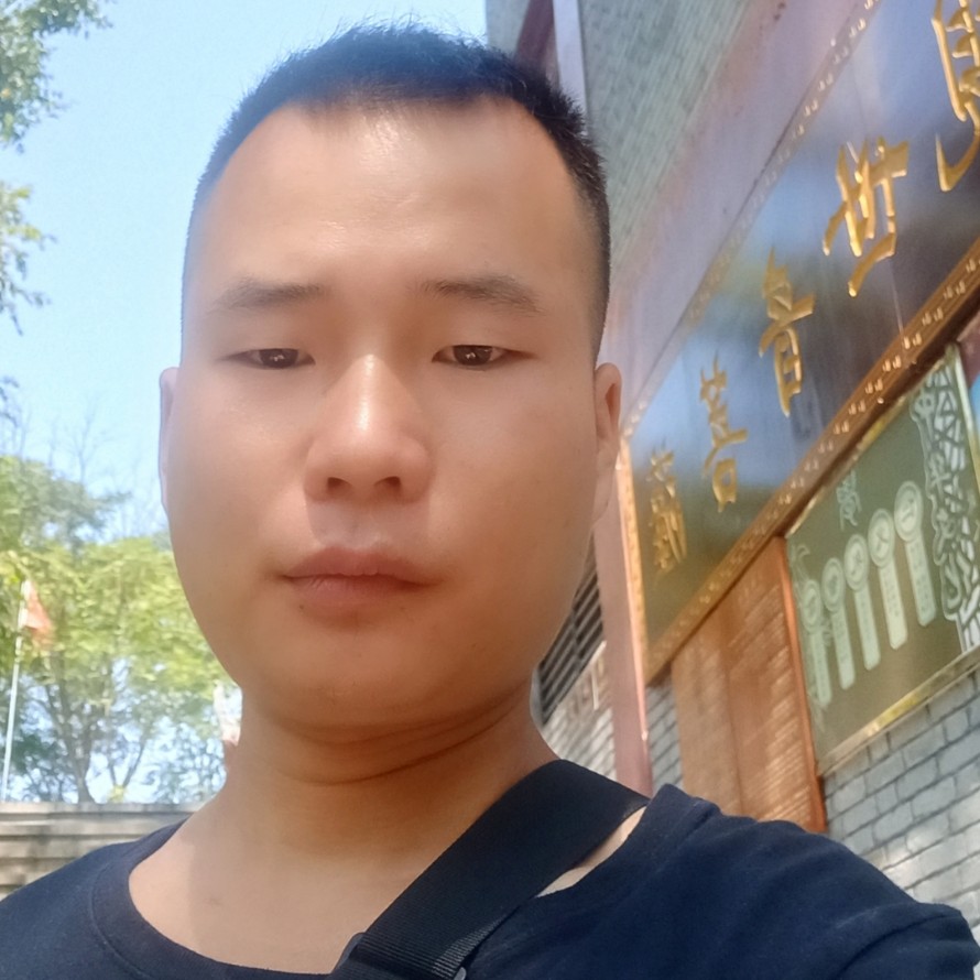 小刺猬结实的照片