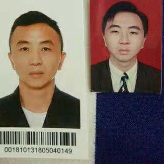野性狗的照片