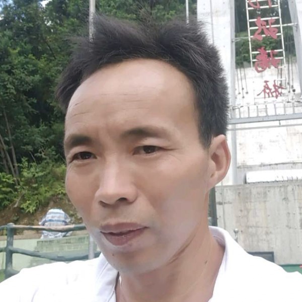 泥猴桃与活泼的照片