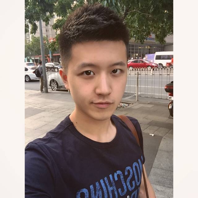 艺鸽的照片