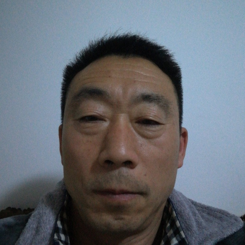 铃铛放弃优秀的照片