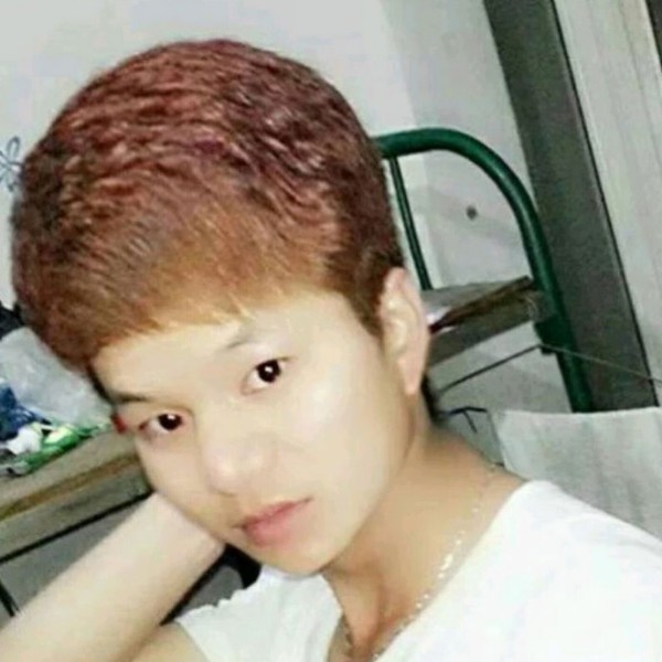 小巧方狗的照片