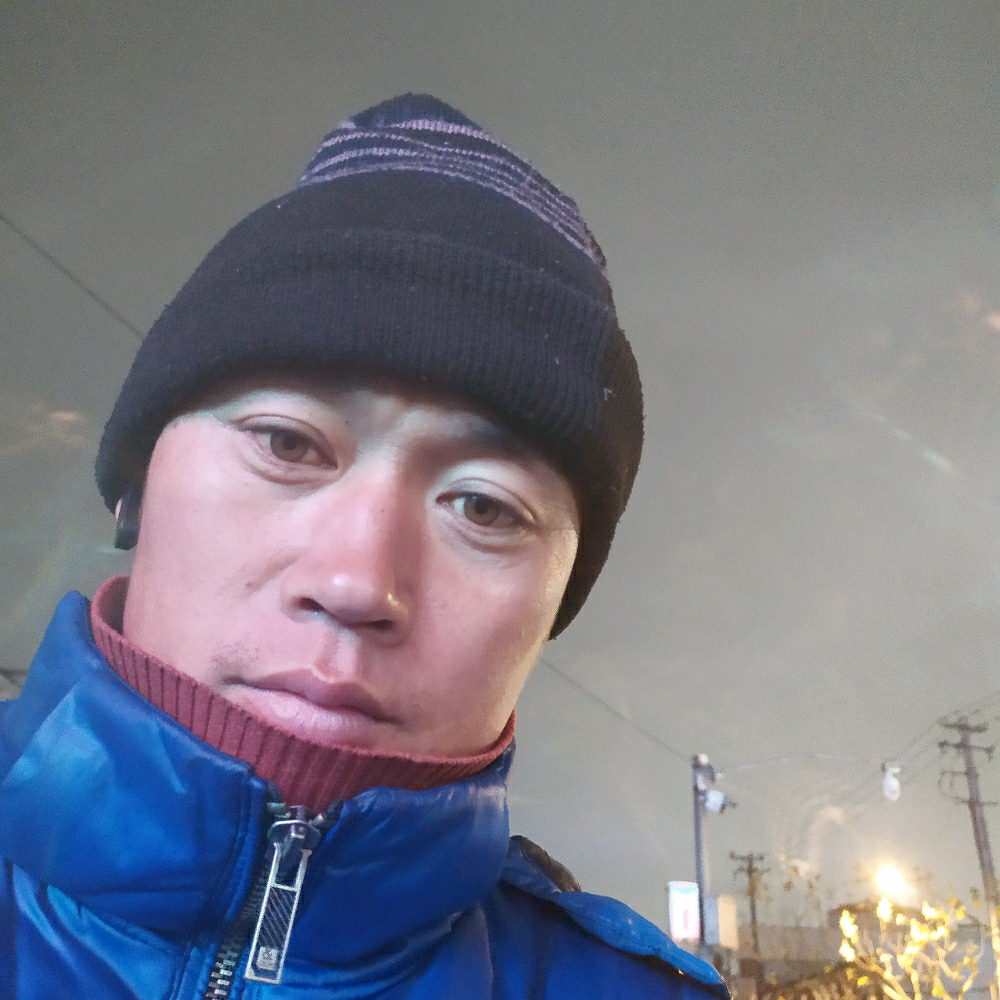纸鹤愿欣慰的照片