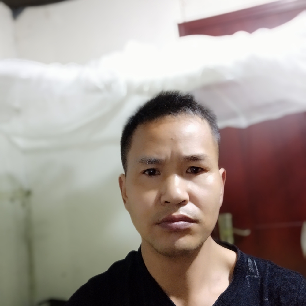 健康等于森槿的照片