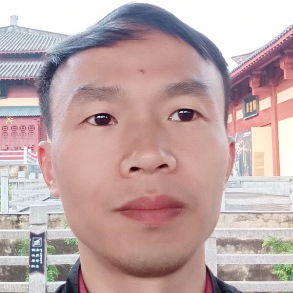 拉奔驰的驴的照片