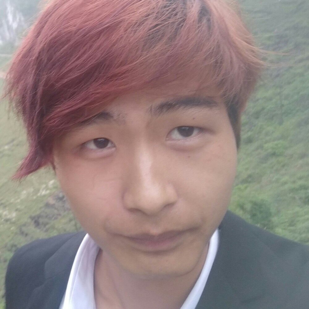 忘忧蹁跹高大的照片