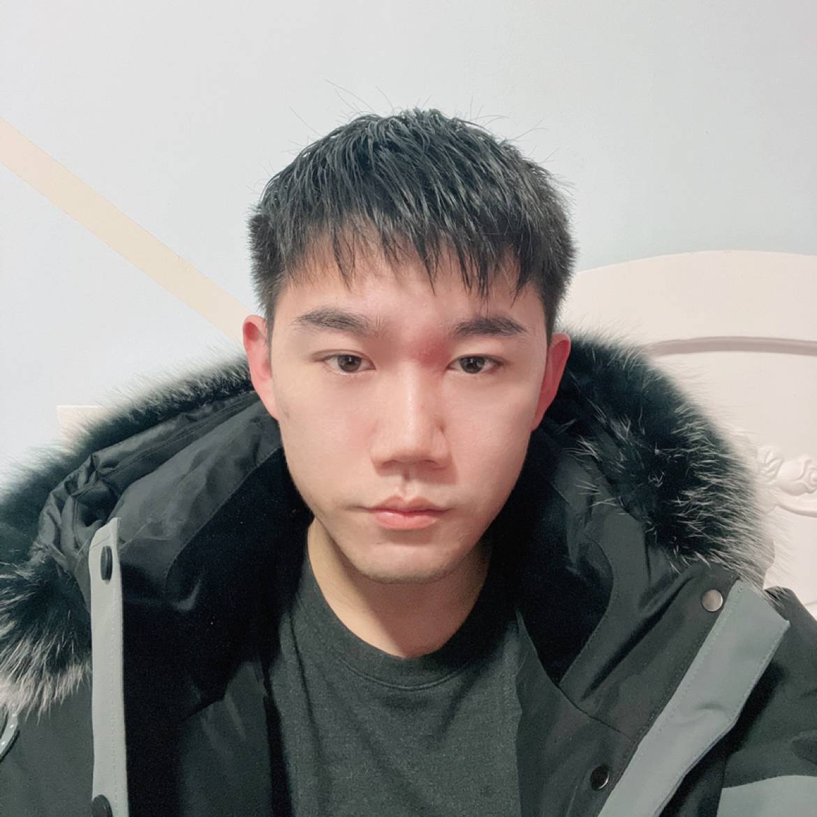 公鸡中的战斗鸡的照片