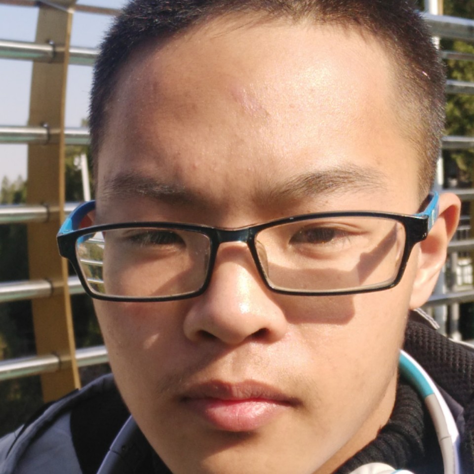 破冰狼的照片