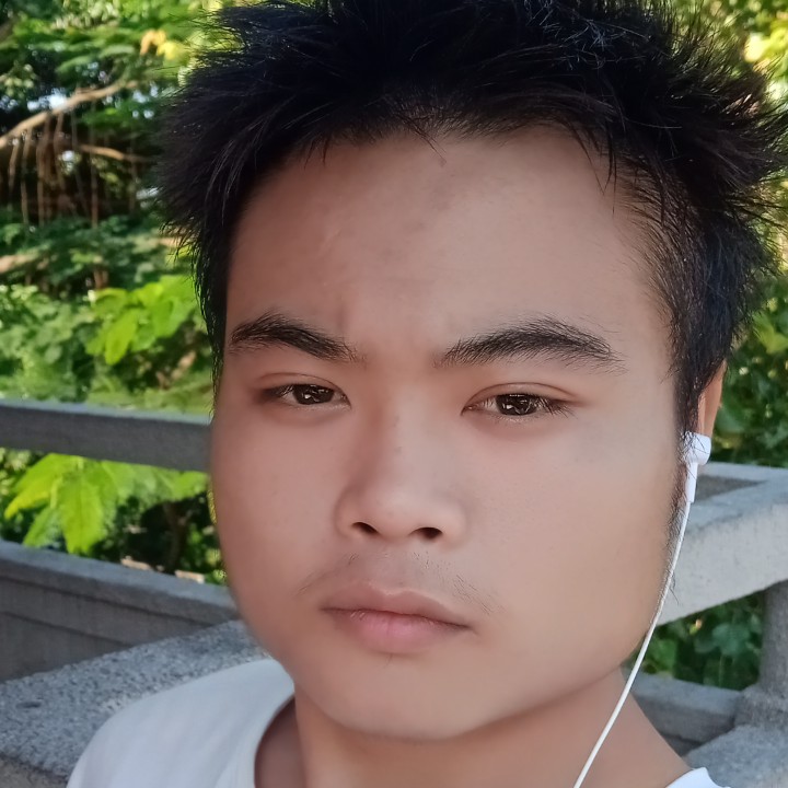 健忘蹁跹板栗的照片