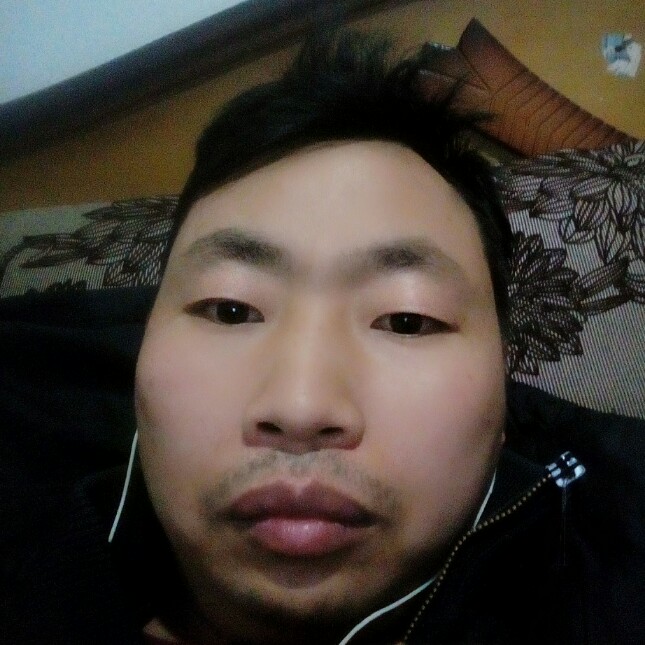 孤独的羊呀的照片