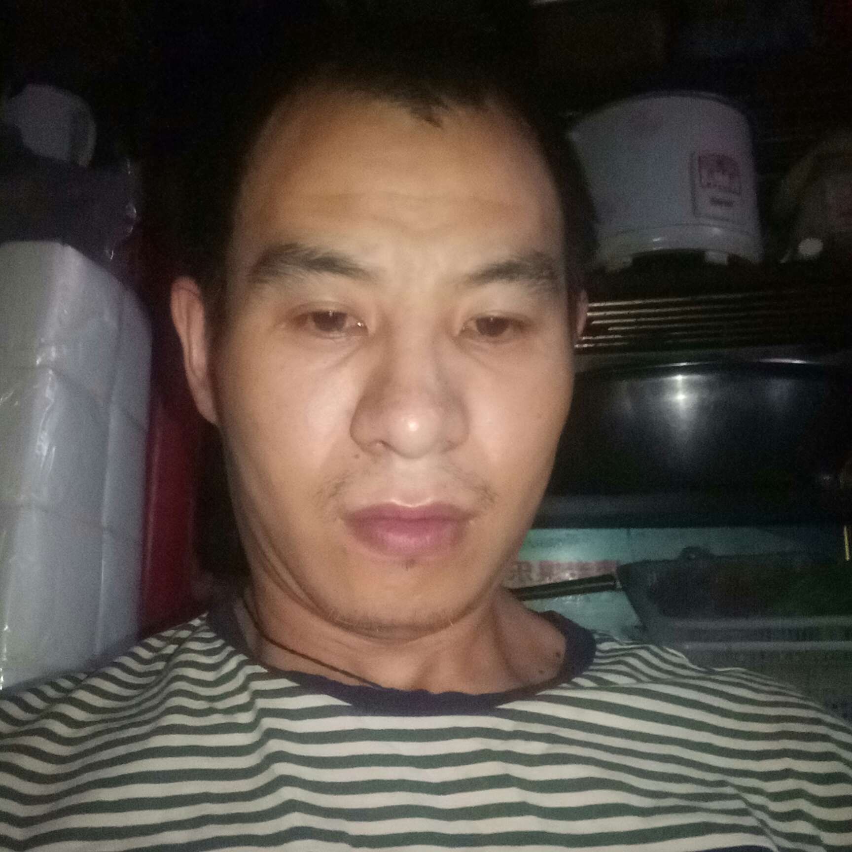 纸鹤吃醋标致的照片