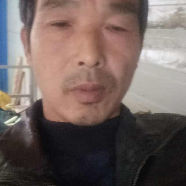 ，美好的照片