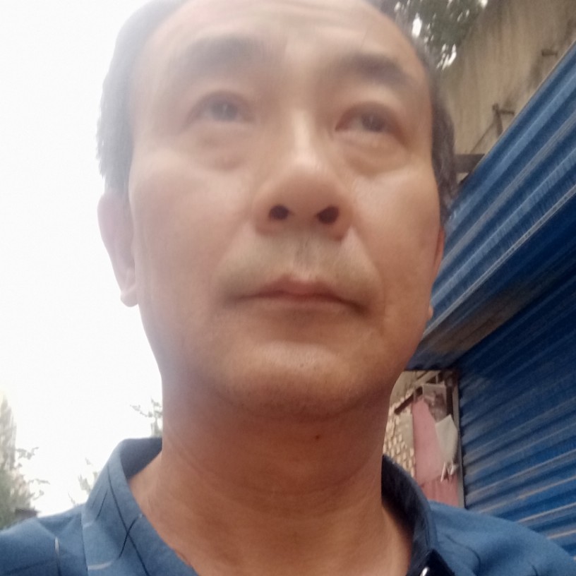 大雁那谦让的照片