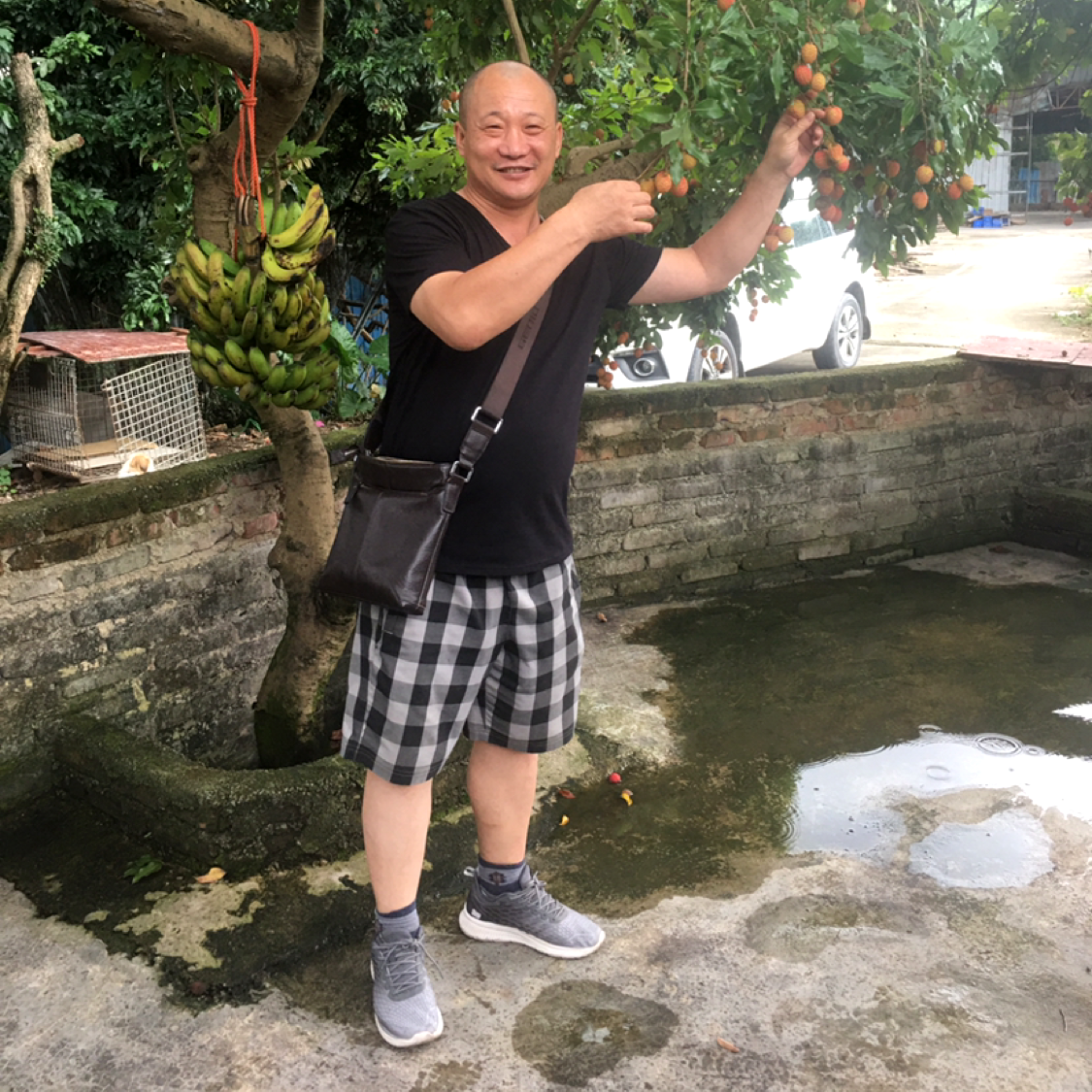 炙热挽手月亮的照片