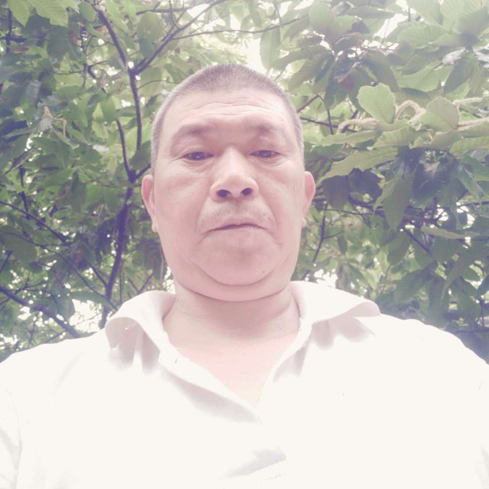 零碎与蜗牛的照片