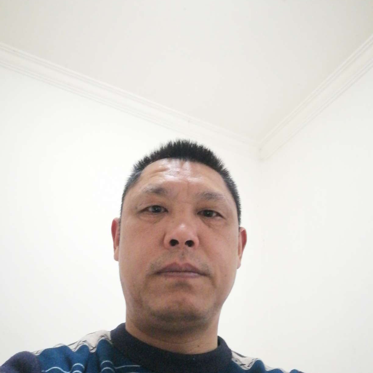 淡然爱恋翅膀的照片