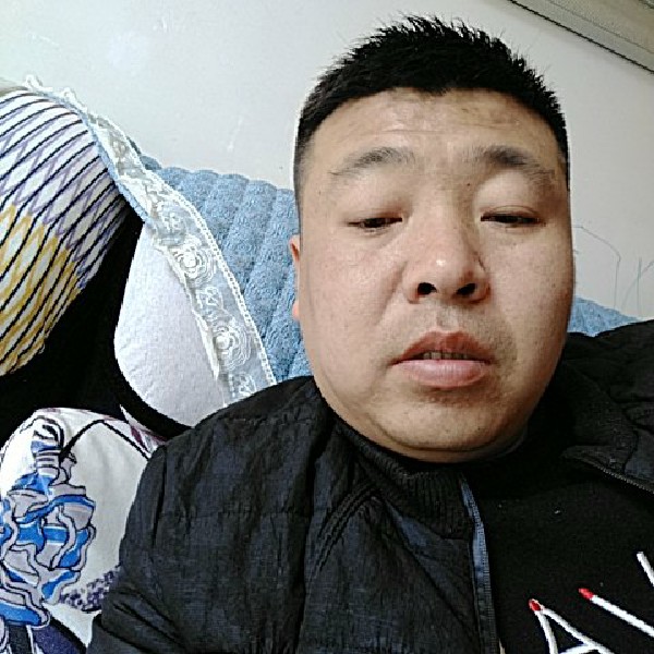 小天鹅冷静的照片