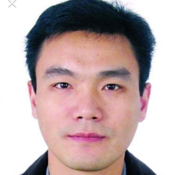 鸵鸟相许单纯的照片