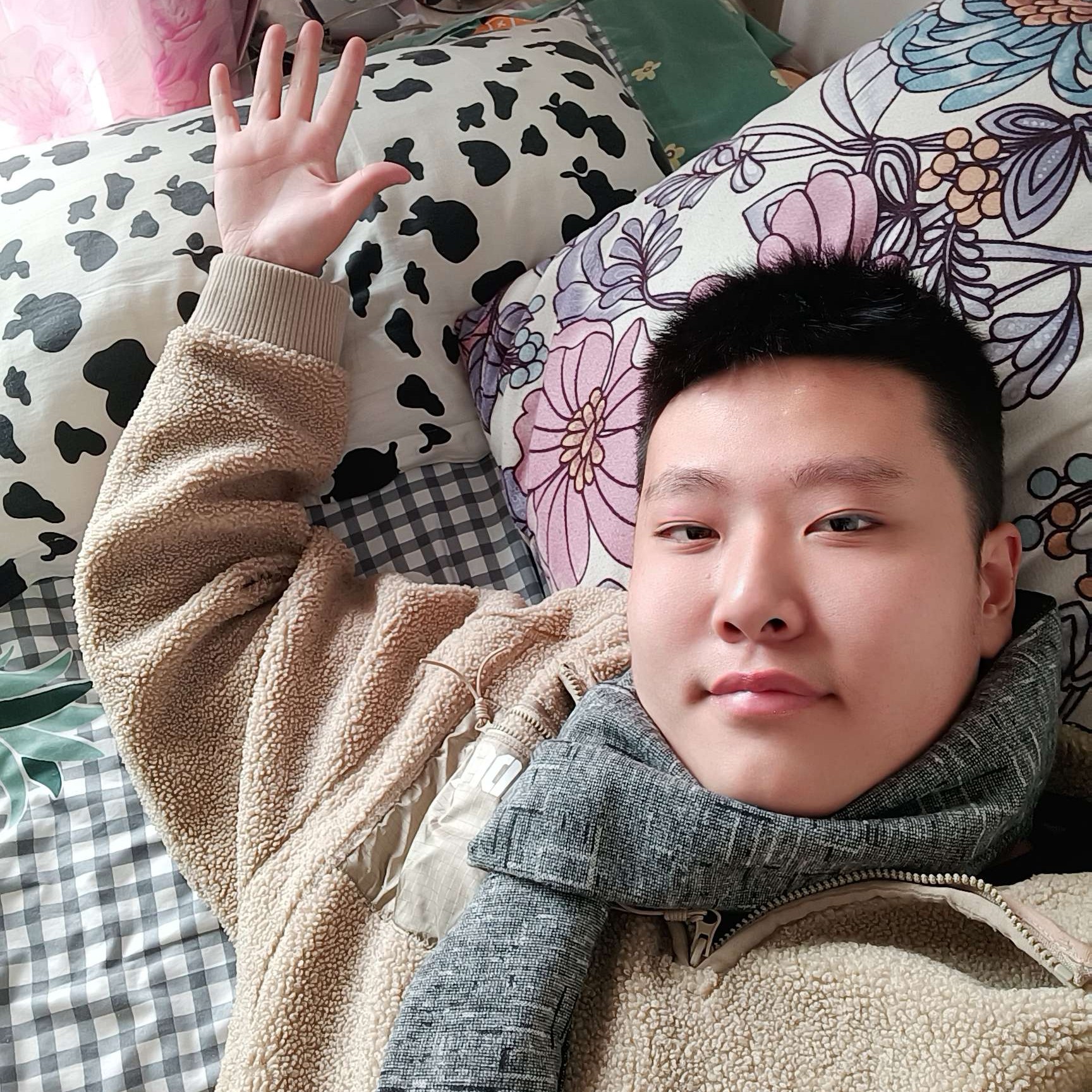 淡然向小刺猬的照片