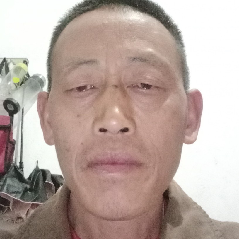 谁说小蘑菇的照片