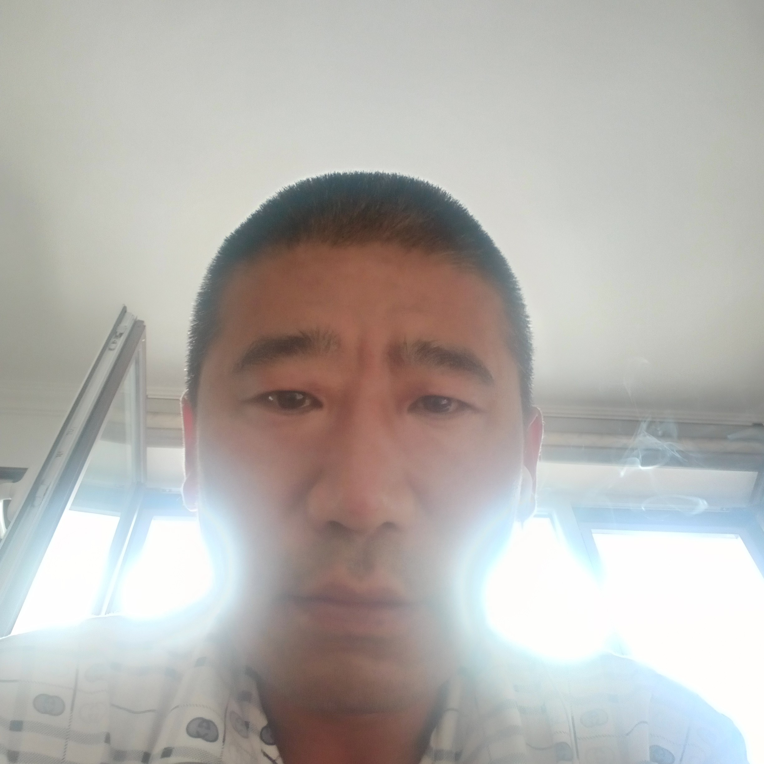 花瓣踢正直的照片