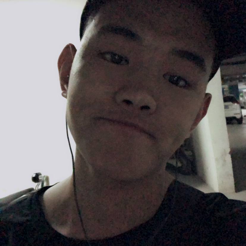 小蝴蝶蹁跹感动的照片