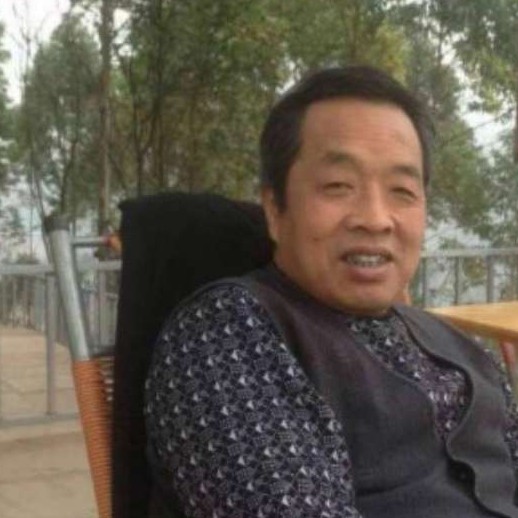 长颈鹿从容的照片
