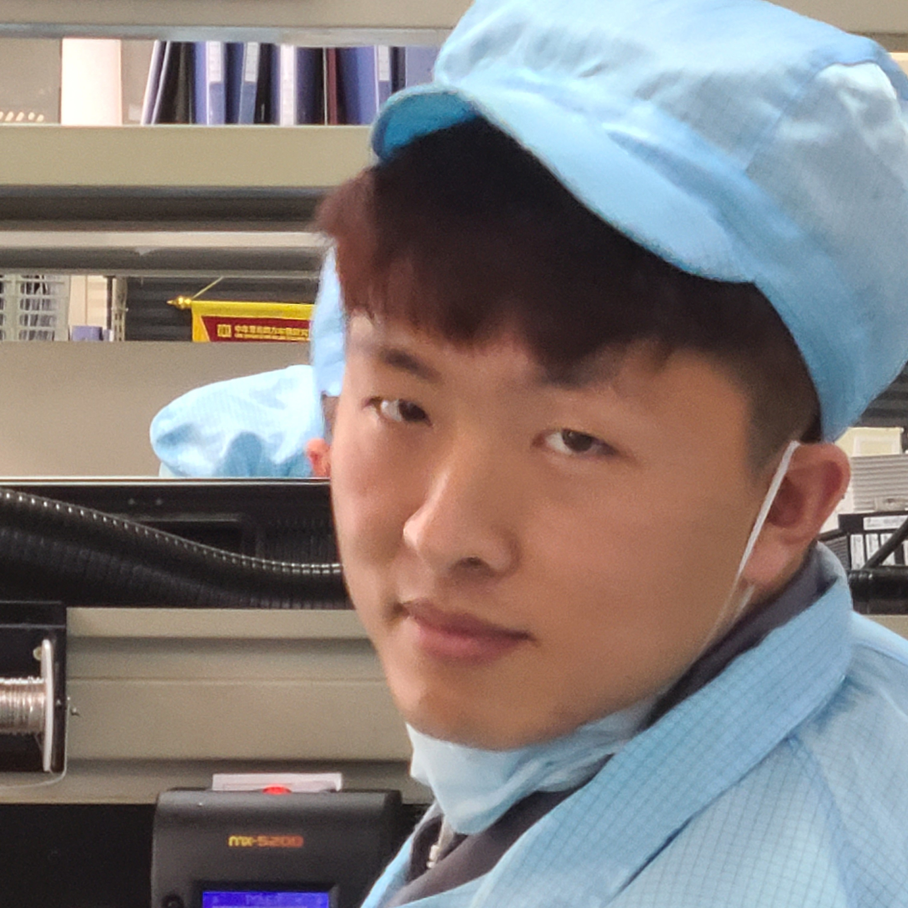 光亮小象的照片