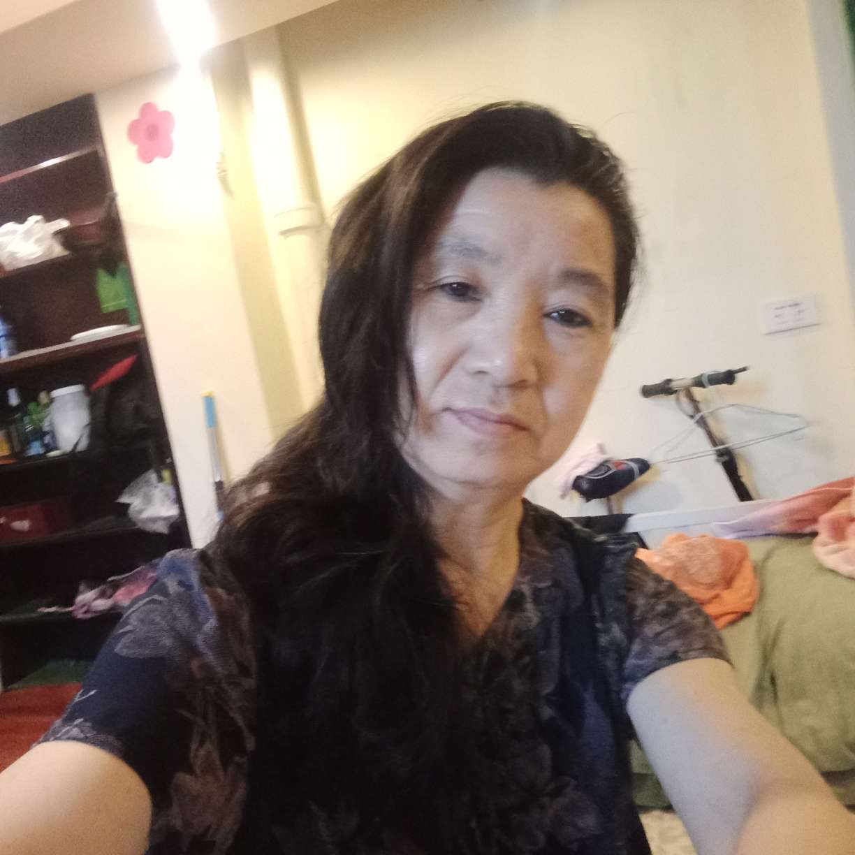 唯一的说蚂蚁的照片