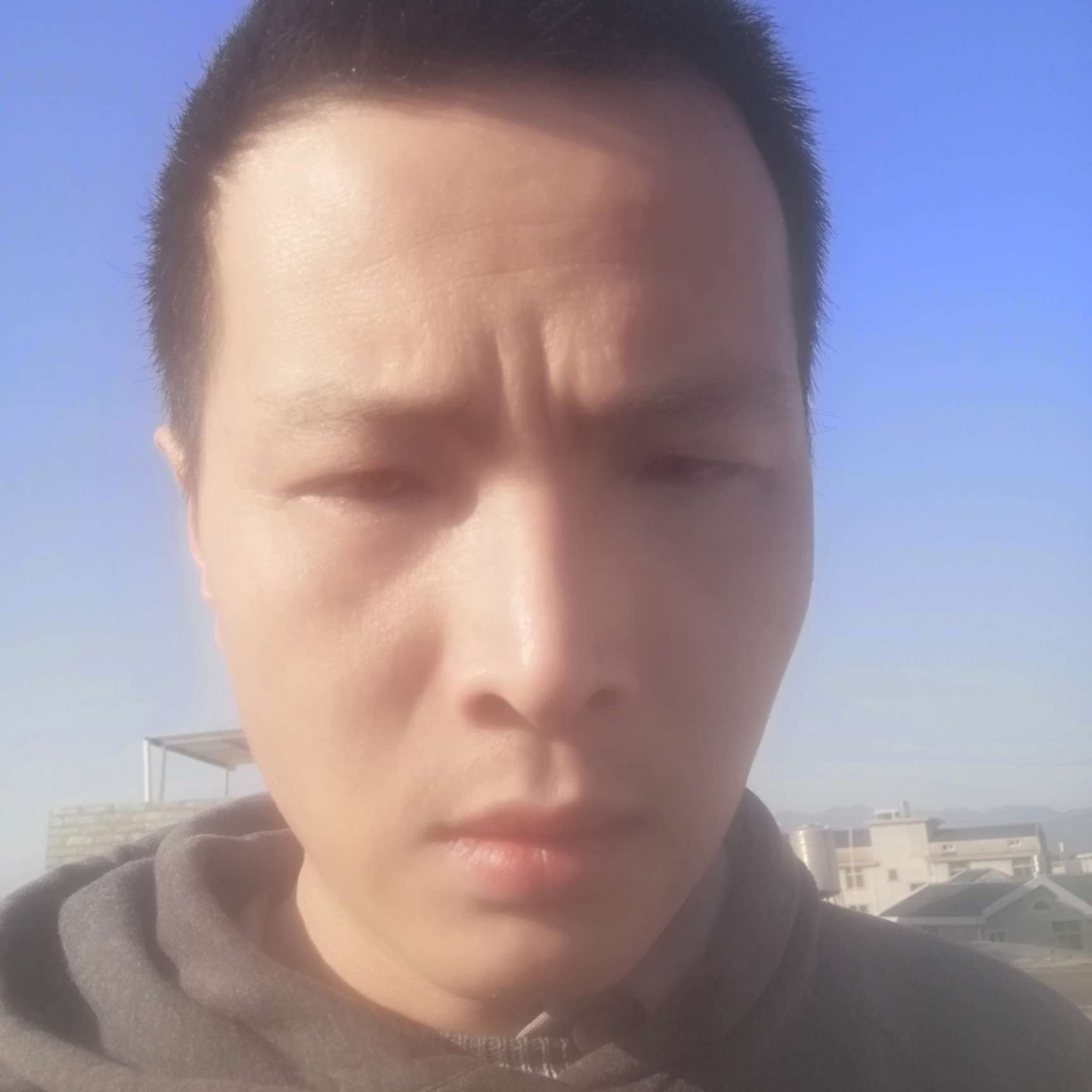 扇贝的照片