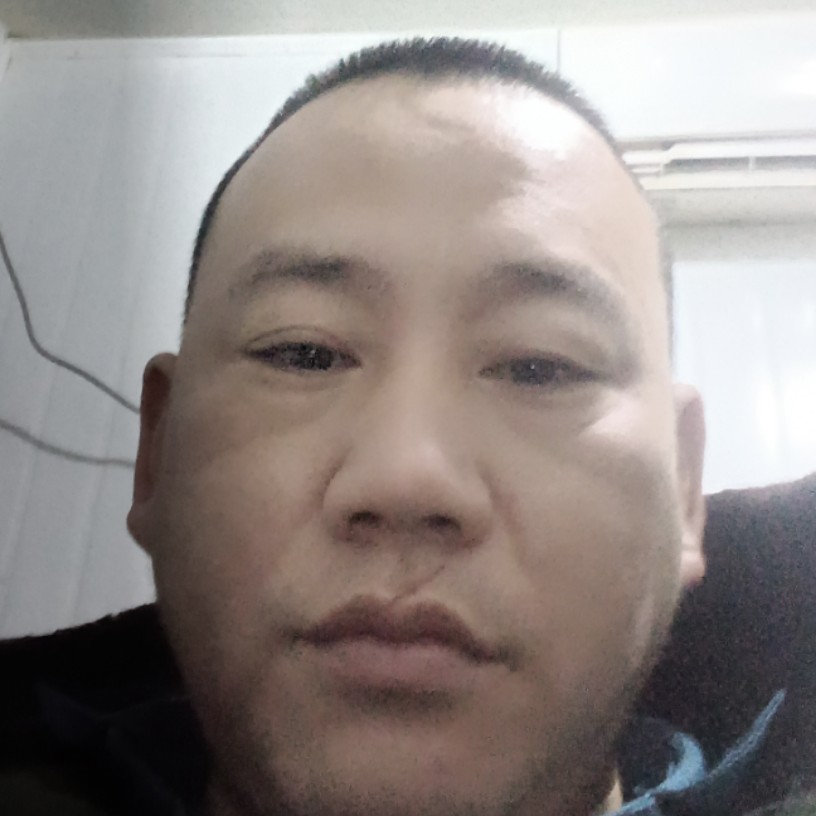 自然回首盼望的照片