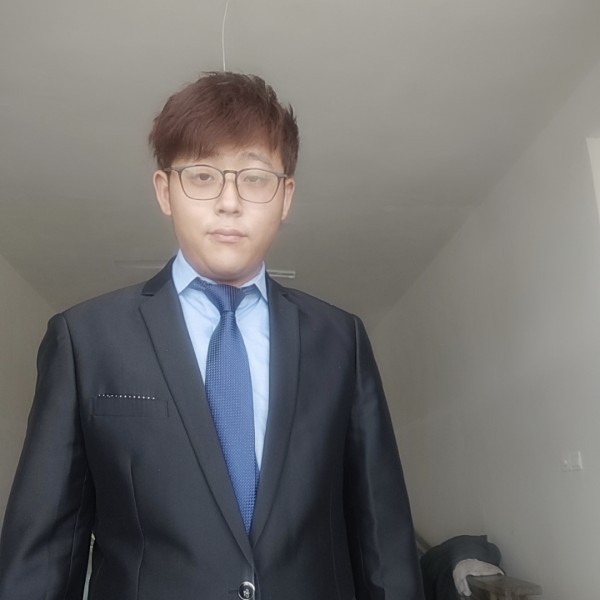 小海豚成就的照片